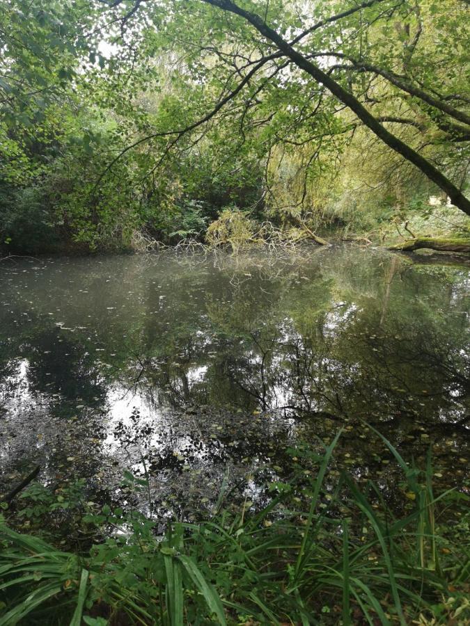Clos Des Monts Saint-Martin-des-Besaces Bagian luar foto